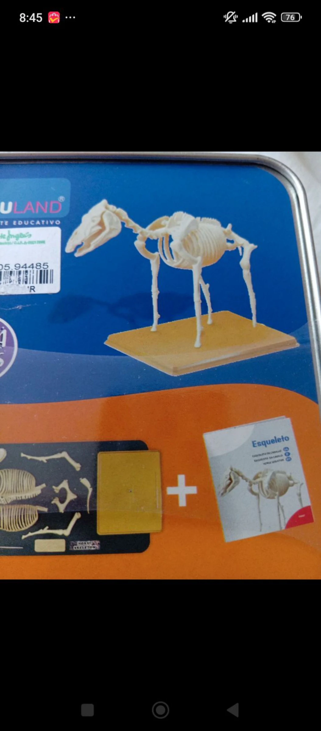Horse skeleton for riding – photo 4
